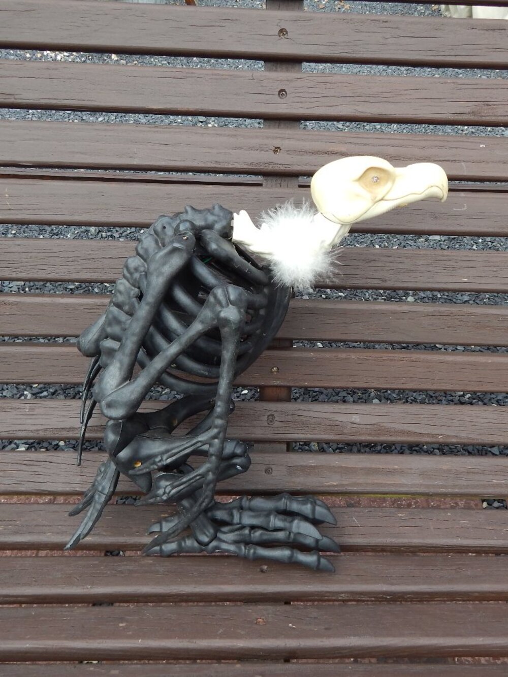Crazy Bonez by Seasons Skeleton Vulture Halloween Decoration Animated